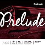 D'Addario J101144M Prelude 4/4 Cello A String
